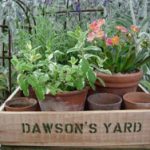 dawsons_yard_005