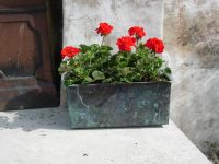 Copper Planter from Somerville Dawson Sheffield